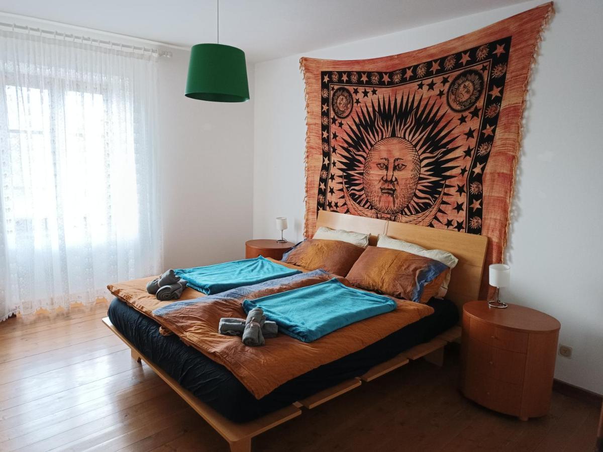 Casa Vacanze Lavanda & Rosmarino Telve エクステリア 写真